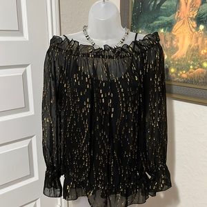 Jenny Hahn Sheer Black and Gold Top With Silk Cami